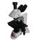 Laboratory use 8000000px Microscope Tester Metallographic Equipment Single-lens